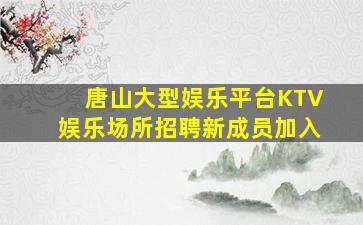 唐山大型娱乐平台KTV娱乐场所招聘新成员加入